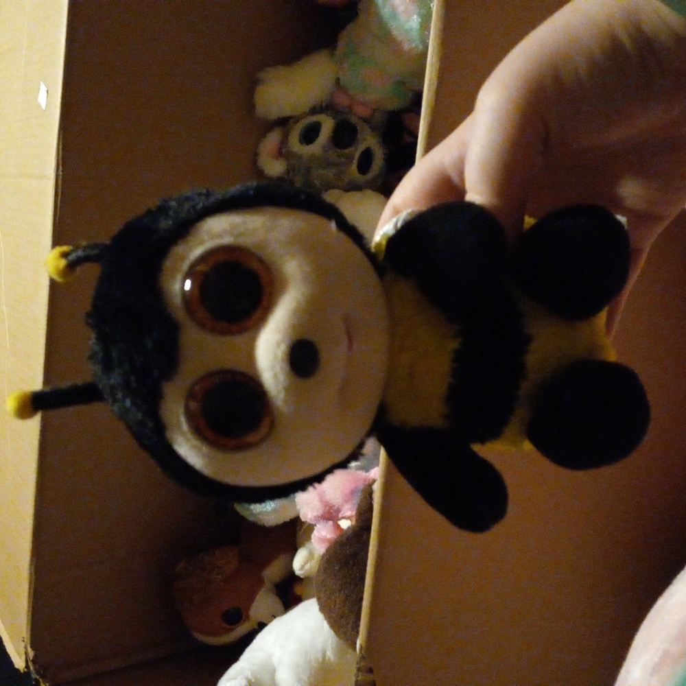 2017 bee buzby